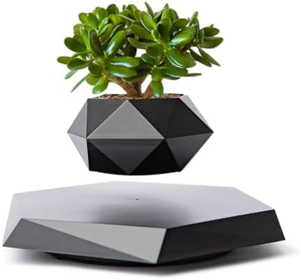 MOOCCI Levitating Plant Pot, Floating air Planter for Succulents