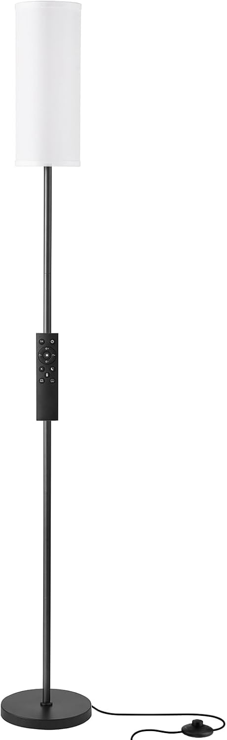 Ambimall 64" Modern Floor Lamp with Remote Control, 9W Bulb Included