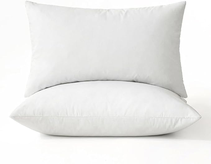 MIULEE Pillows Standard Size Set of 2 Down Feather Throw Pillows by MIULEE