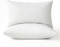 MIULEE Pillows Queen Size Set of 2 Down Feather Throw Pillows by MIULEE