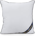 Utopia Bedding Throw Pillow Inserts, 22 x 22 Inches Decorative Indoor Pillows by UTOPIABEDDING