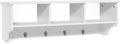Casart Hanging Shelf Wall Mounted Storage Cabinets W/Hooks for Bedroom, Living Room and Entryway (White)