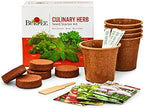 Burpee Culinary Garden Starter Kit Packets, 5 Pots, 5 Coir Pellets & 5 Plant Markers Non-GMO Herb Seeds: Cilantro, Dill, Parsley, Sweet Basil & Chives