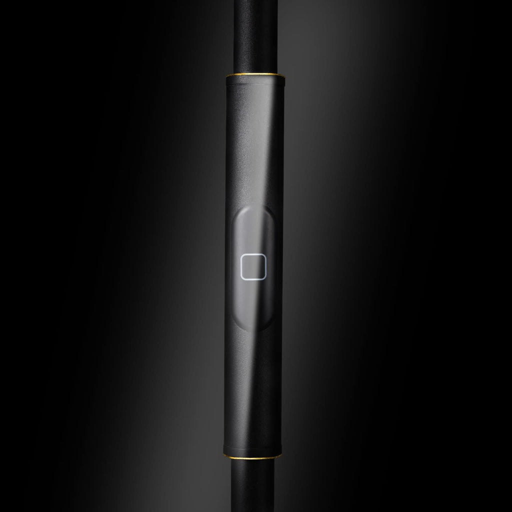 JOOFO LED Torchiere Floor Lamp with Remote, Stepless Dimmable, Black Gold