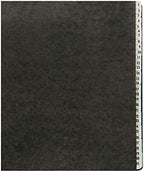 Amazon Basics Expandable Desktop File Sorter, Daily & Monthly Paper Organizer, Letter Size, Black