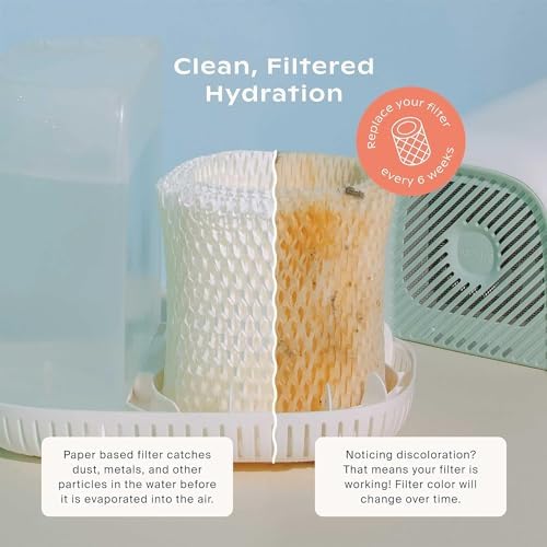 Canopy Original Bedside Humidifier Filter, 1-Pack, 6-Week Replacement