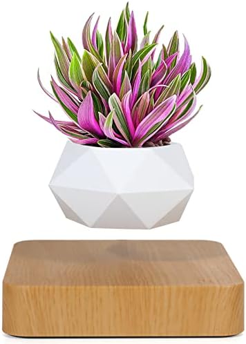 Levitating Air Bonsai Pot, Cool Stuff,Rotation Flower Pot Planters, Potted Plant Home Desk Decor in Flower Pots & Planters from Home & Garden on (Light Color)