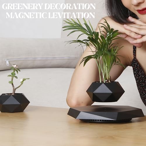 MOOCCI Levitating Plant Pot, Floating air Planter for Succulents