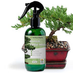Perfect Plants Bonsai Fertilizer Spray, 8 oz, Liquid Tree Food