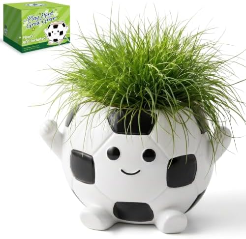 Soccer Face Plant Pots, 4 Inches Resin Planters, Cute Succulent Pot