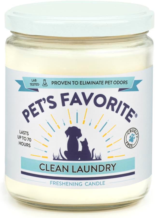 Clean Laundry Pet Odor Eliminator Candle Pet Friendly, 1 Pack