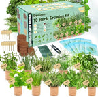 10 Herb Window Garden Kit Indoor, Complete Growing Kit with Pots & Soil