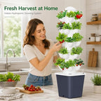 Plants Propagation Station