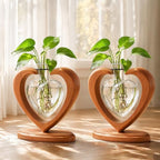 2Pack Plant Propagation Station, Heart Glass Vase & Wooden Stand