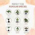 Organic Bonsai Fertilizer for Robust Growth & Strong Stems, 8oz