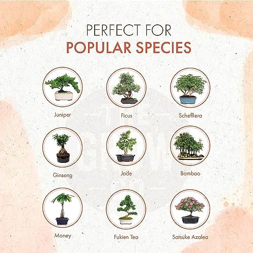 Organic Bonsai Fertilizer for Robust Growth & Strong Stems, 8oz