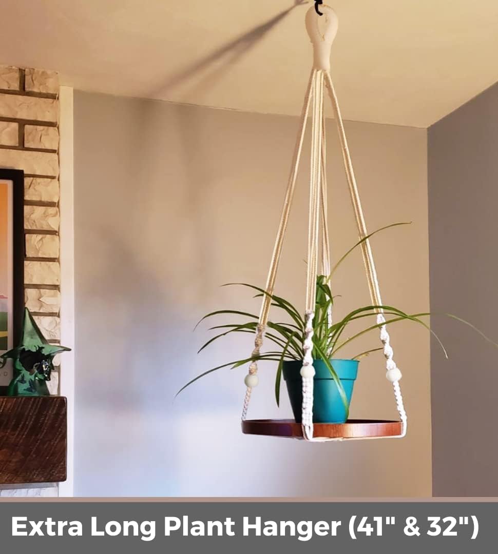 2 Pack Plant Hanger Indoor, Hanging Plant Shelf (12" + 10")