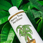 Perfect Plants Money Tree Fertilizer, 8 oz, Liquid Indoor Plant Food