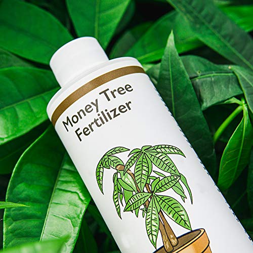 Perfect Plants Money Tree Fertilizer, 8 oz, Liquid Indoor Plant Food
