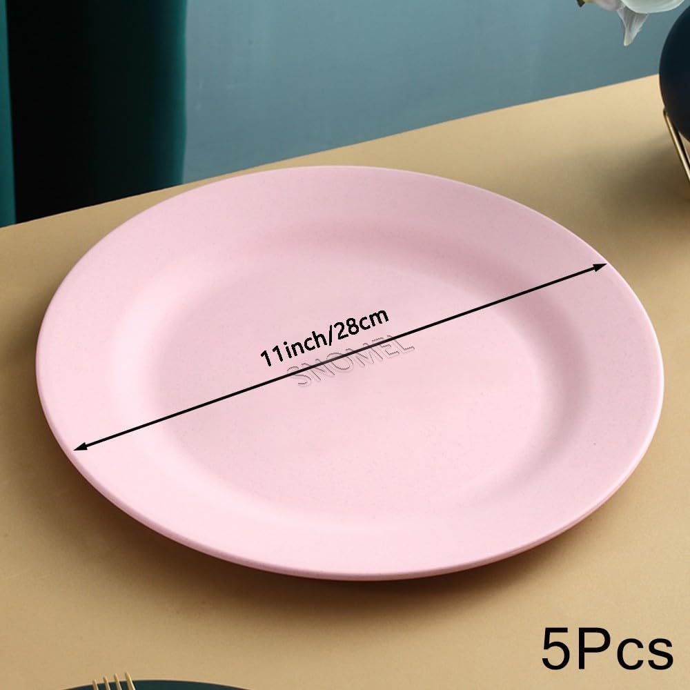11 Inch Dinner Plate Set, Lightweight Wheat Straw Plates, 5 Pieces, Pink
