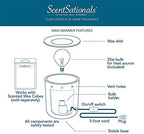 Scentsationals Dead Mans Toes - Halloween Wax Warmer for Scented Wax Melts