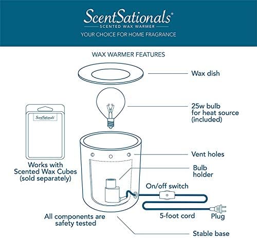 Scentsationals Dead Mans Toes - Halloween Wax Warmer for Scented Wax Melts