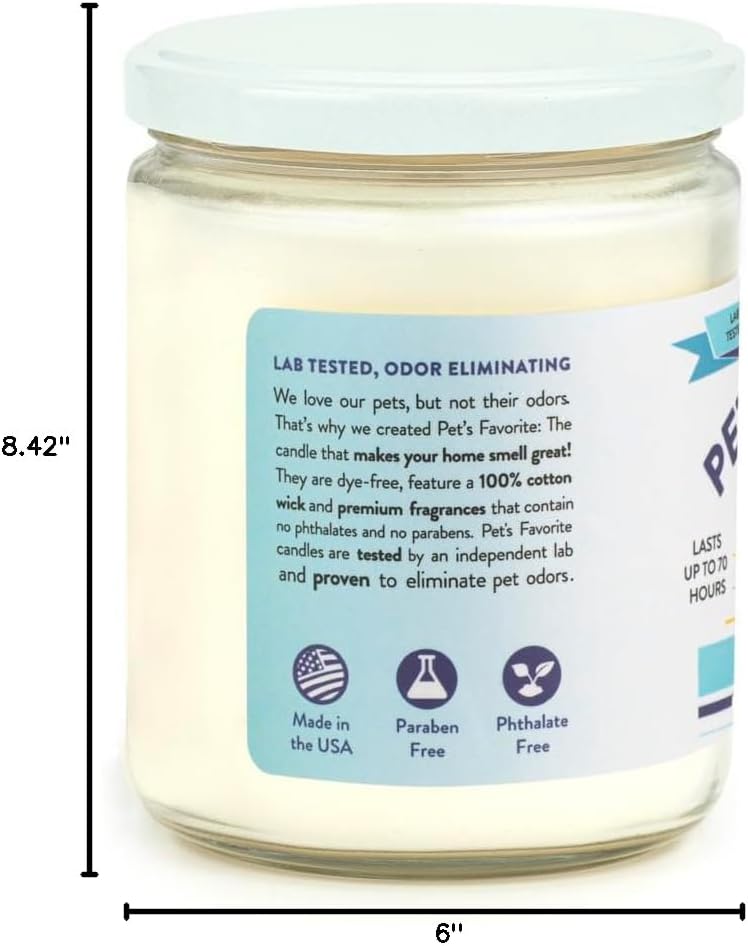 Clean Laundry Pet Odor Eliminator Candle Pet Friendly, 1 Pack