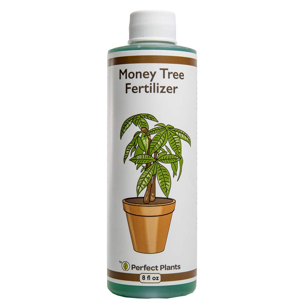 Perfect Plants Money Tree Fertilizer, 8 oz, Liquid Indoor Plant Food