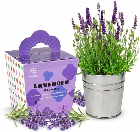 Lavender Grow Kit, All-in-One Indoor Flower Garden Starter Kit with Conical Metal Planter, Complete Growing Set for Gardening Enthusiasts, Windowsill Home Gardening