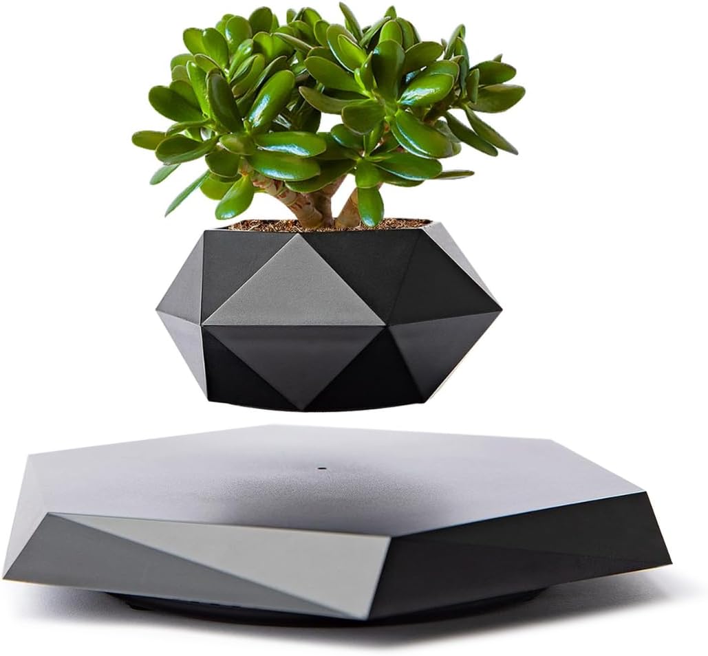 MOOCCI Levitating Plant Pot, Floating air Planter for Succulents