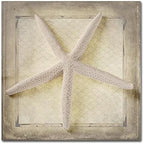 Trademark Fine Art Canvas Wall Art - Lightboxjournal 'Starfish' Wall Art for Living Room, Bedroom, or Office Décor