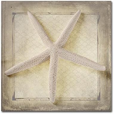 Trademark Fine Art Canvas Wall Art - Lightboxjournal 'Starfish' Wall Art for Living Room, Bedroom, or Office Décor