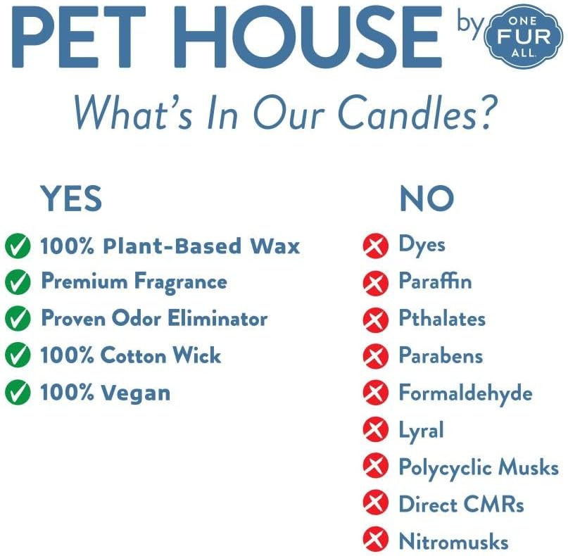 Variety Mini Candles Plant-Based Wax, 3 Pack Pet House