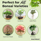 Perfect Plants Bonsai Fertilizer Spray, 8 oz, Liquid Tree Food