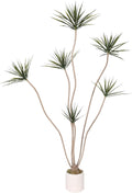 Artificial Dracaena Marginata Tree 7FT Faux Dragon Plant with Roots 84inch