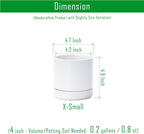 D'vine Dev 4.7 Inch Ceramic Planter Pot, White, 94-O-B-1