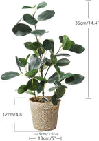 SAROSORA Artificial Ficus Tree Small Fake Plants in Weaved Pot 20" Height for Living Room Desktop Decor Indoor Home Office Ins Style (Green, 1)