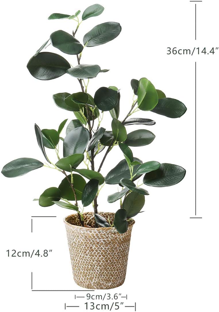 SAROSORA Artificial Ficus Tree Small Fake Plants in Weaved Pot 20" Height for Living Room Desktop Decor Indoor Home Office Ins Style (Green, 1)