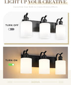 3-Light 19 Inch Bathroom Vanity Light,White Frosted Glass,Black