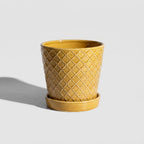 Ceramic Plant Pots, 5 Inch Planters with Drainage Holes and Ceramic Tray, Relief Design Flower Planter, Desktop Office Windowsill Decoration Gift Set of 4 - Deep Yellow