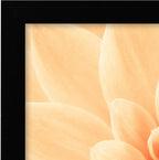 Americanflat A3 Picture Frame with Shatter-Resistant Glass - 11.7x16.5 Frame with Engineered Wood - Signature Collection - A3 Frames for Wall Display - Black