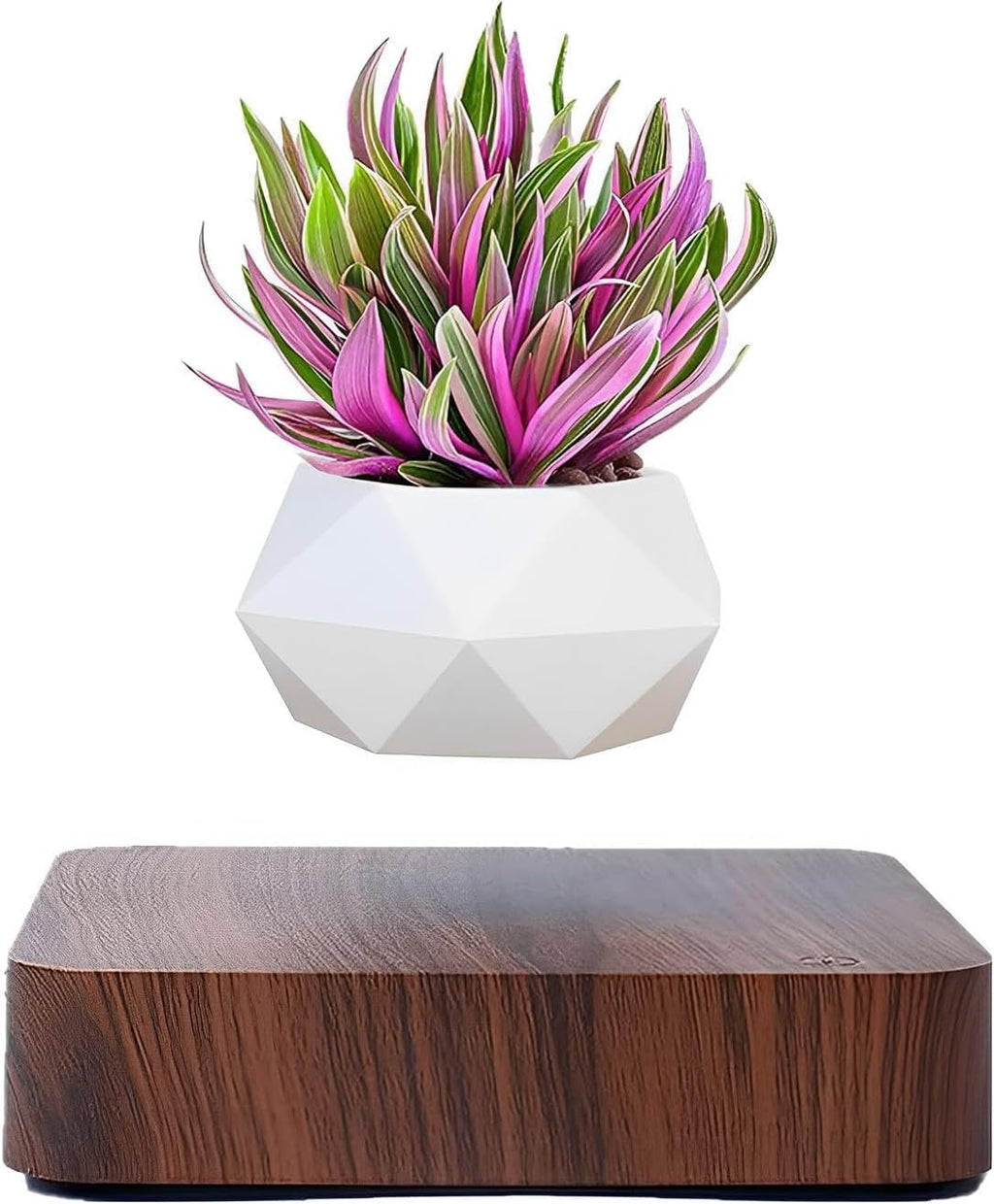Levitating Air Bonsai Pot, Cool Stuff,Rotation Flower Pot Planters, Potted Plant Home Desk Decor in Flower Pots & Planters from Home & Garden on (Light Color)