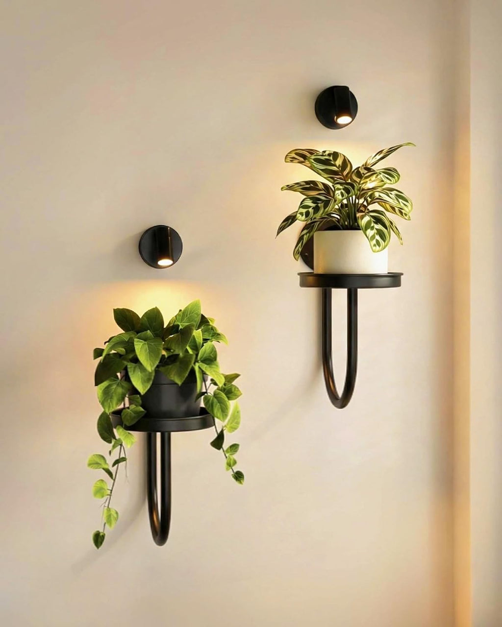 Wall Plant Holder for Indoor Plants with Lights, 2 Pcs Black