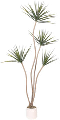 Artificial Dracaena Marginata Tree 5FT Faux Dragon Plant with Roots 60inch