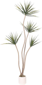 Artificial Dracaena Marginata Tree 5FT Faux Dragon Plant with Roots 60inch