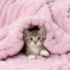Aganear Fluffy Throw Blanket for Couch, 3D Ribbed Jacquard Warm Fuzzy Blanket - Image 4