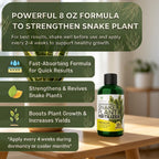 Professional Liquid Snake Plant Fertilizer 3-1-2 Concentrate 8 oz, Premium Snake Plant Food for Indoor Plants, Liquid Fertilizer for Snake Plants and Houseplants, Made in USA