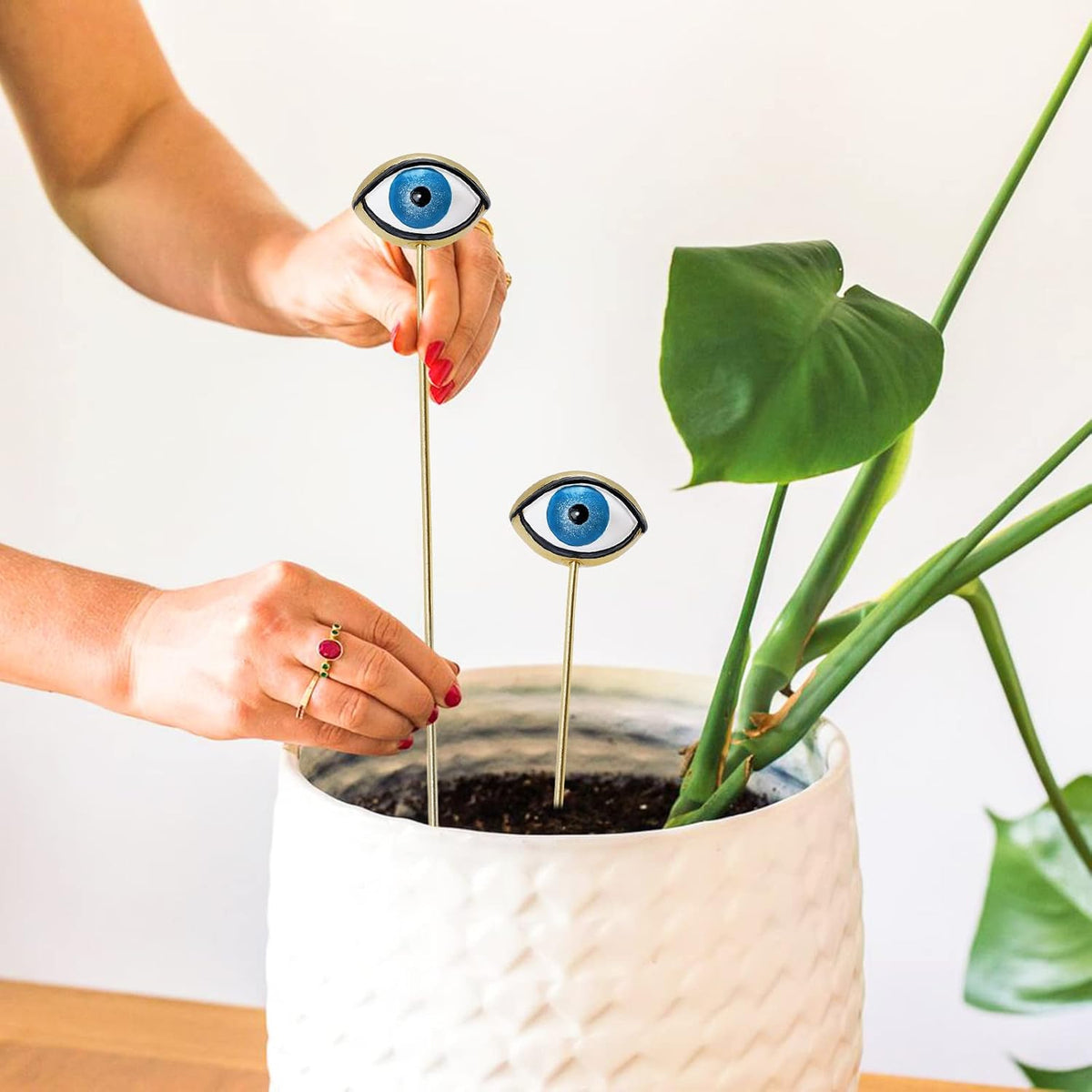 Tuitessine Evil Eye Plant Stakes Set of 2, Eyeball Garden Plant Picks