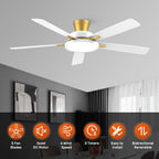 TALOYA 52 inch Ceiling Fans with Lights and Remote, Low Profile, White Gold