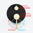Shower Faucet Set Black and Brushed Gold 10'' Rainfall Shower System